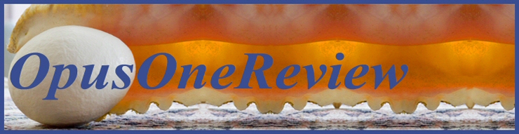 Review:  Stanley Fefferman / OpusOneReview